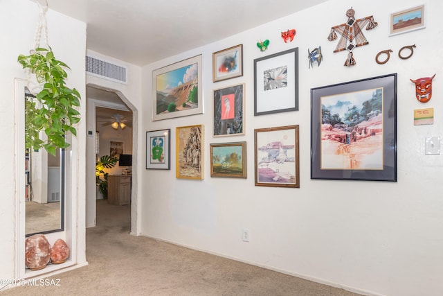 3541 E Cody St, Tucson, AZ 85716 - corridor with carpet floors