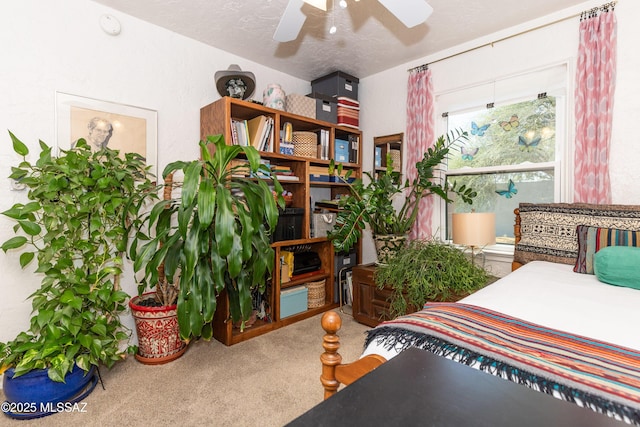 3541 E Cody St, Tucson, AZ 85716 - view of carpeted bedroom