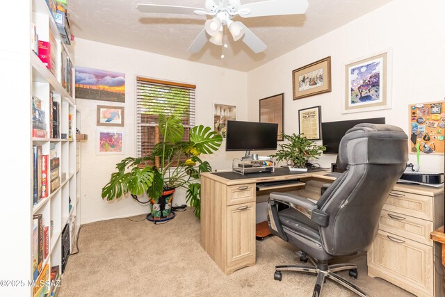 office featuring light colored carpet and ceiling fan