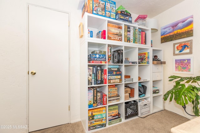 playroom featuring carpet