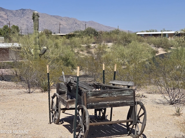 895 W Roller Coaster Rd, Tucson, AZ 85704 - surrounding community with a mountain view