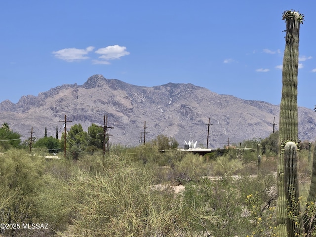 895 W Roller Coaster Rd, Tucson, AZ 85704 - mountain view