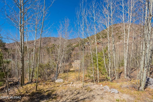 view of mountain feature