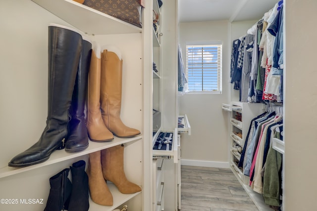29 W Camino Rancho Viejo, Sahuarita, AZ 85629 - spacious closet featuring wood finished floors