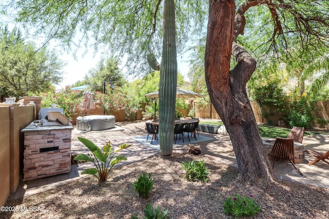 29 W Camino Rancho Viejo, Sahuarita, AZ 85629 - fenced backyard with a patio area and area for grilling