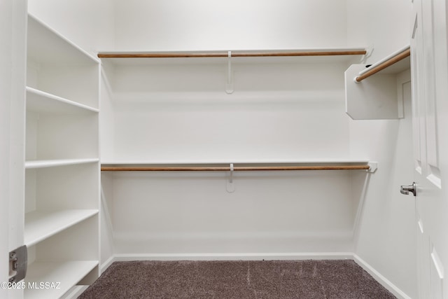 11413 E Squash Blossom Loop, Tucson, AZ 85747 - walk in closet featuring carpet floors