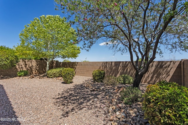 11413 E Squash Blossom Loop, Tucson, AZ 85747 - view of fenced backyard