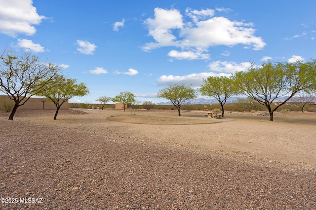 11413 E Squash Blossom Loop, Tucson, AZ 85747 - view of yard