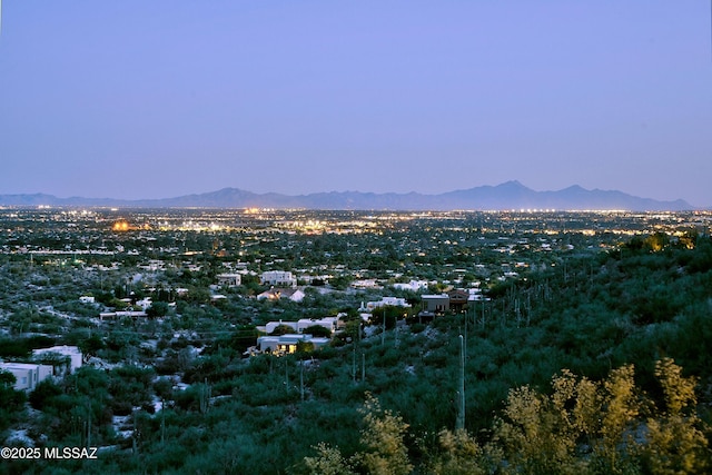 view of mountain feature