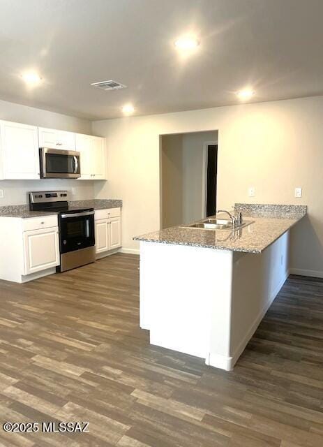 365 S Redwood Loop, Benson, AZ 85602 - kitchen featuring appliances with stainless steel finishes, a peninsula, a sink, and dark wood-style flooring