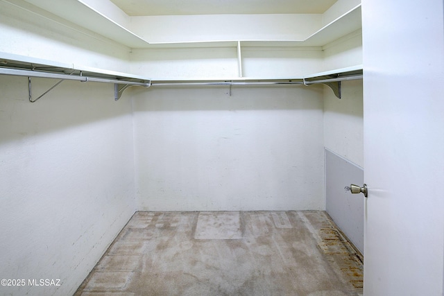 810 E Placita Leslie, Tucson, AZ 85718 - spacious closet with carpet floors