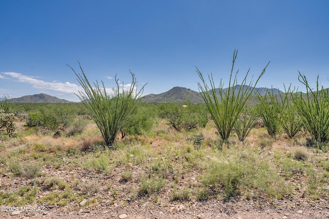 9789 E Ocotillo Rim Trl, Vail, AZ 85641