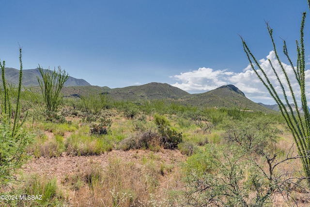9789 E Ocotillo Rim Trl, Vail, AZ 85641