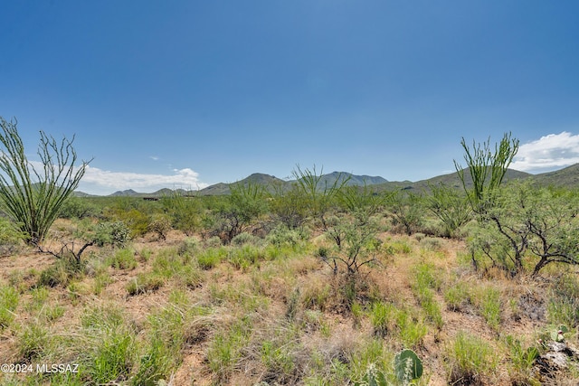 9789 E Ocotillo Rim Trl, Vail, AZ 85641