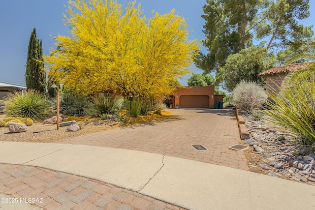 149 E Los Arcos, Green Valley, AZ 85614 - view of yard featuring an attached garage and decorative driveway
