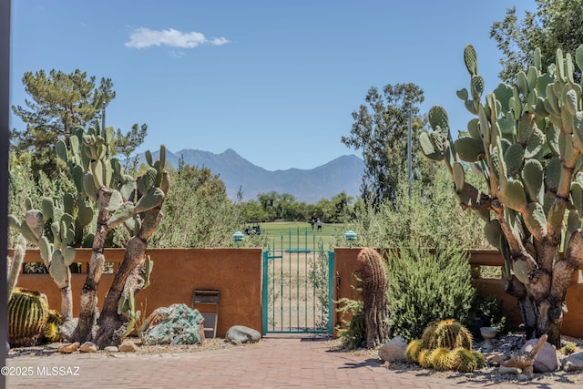 149 E Los Arcos, Green Valley, AZ 85614 - view of mountain feature