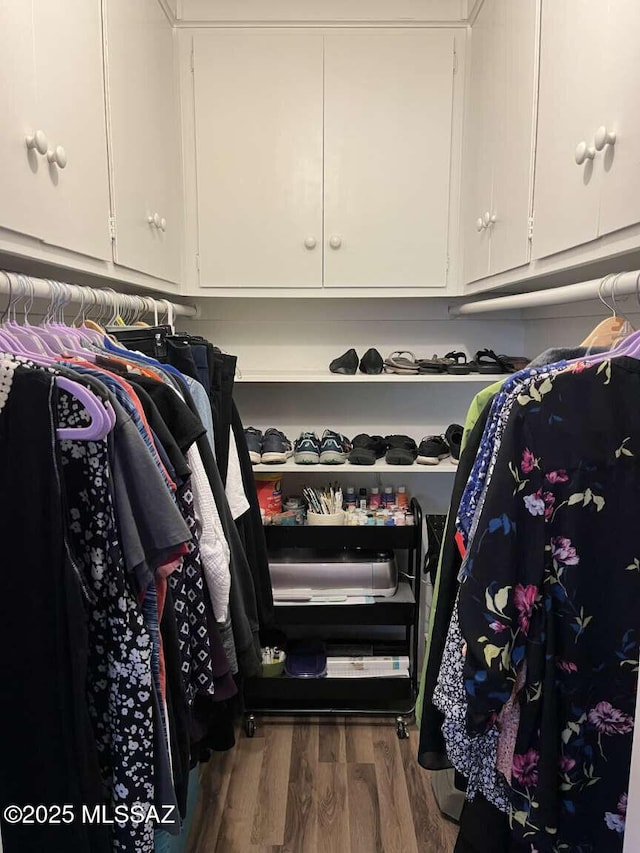 spacious closet with wood finished floors