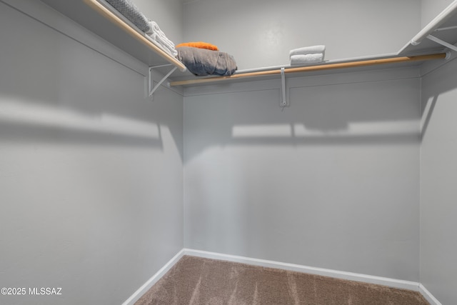 156 E Stone Ct, Tucson, AZ 85705 - walk in closet featuring carpet floors