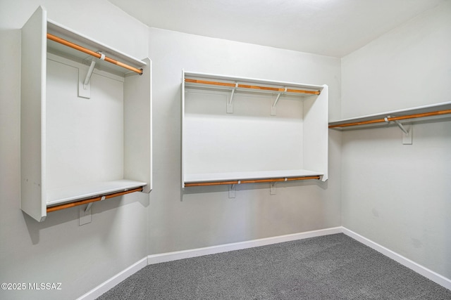 8695 W Cadwell Way, Marana, AZ 85653 - spacious closet featuring carpet flooring
