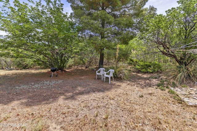 575 N Robles Rd, Oracle, AZ 85623 - view of yard