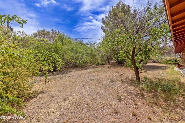 575 N Robles Rd, Oracle, AZ 85623 - view of yard
