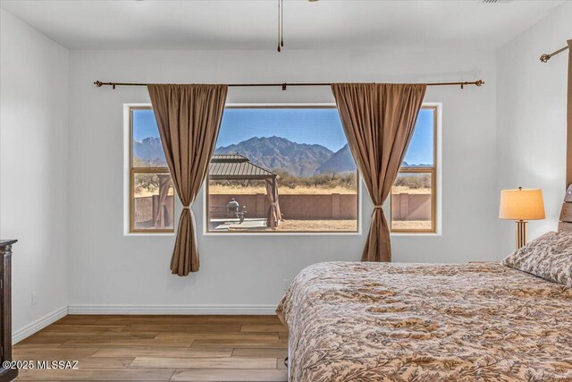 135 W Hawk Way, Amado, AZ 85645 - spacious closet featuring light wood finished floors