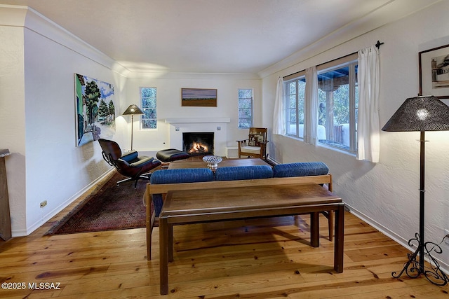 living room with a wealth of natural light, a lit fireplace, baseboards, and wood-type flooring