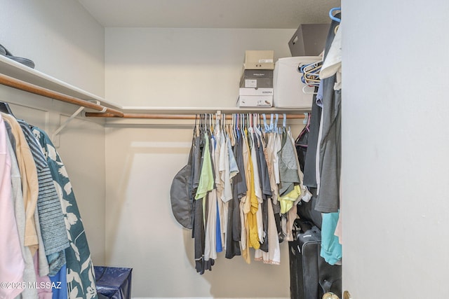 view of walk in closet