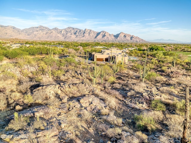 14471 N Giant Saguaro Pl Unit 33, Oro Valley, AZ 85755