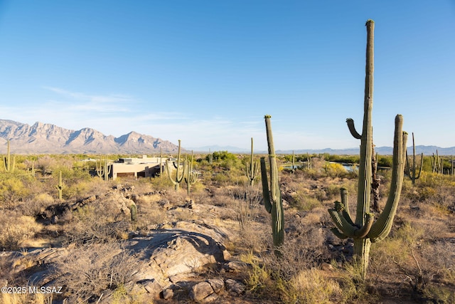 14471 N Giant Saguaro Pl Unit 33, Oro Valley, AZ 85755