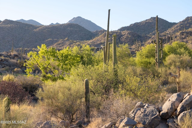 14471 N Giant Saguaro Pl Unit 33, Oro Valley, AZ 85755