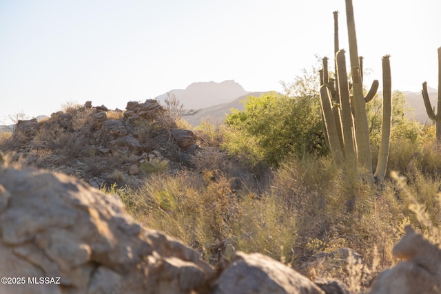 14471 N Giant Saguaro Pl Unit 33, Oro Valley, AZ 85755