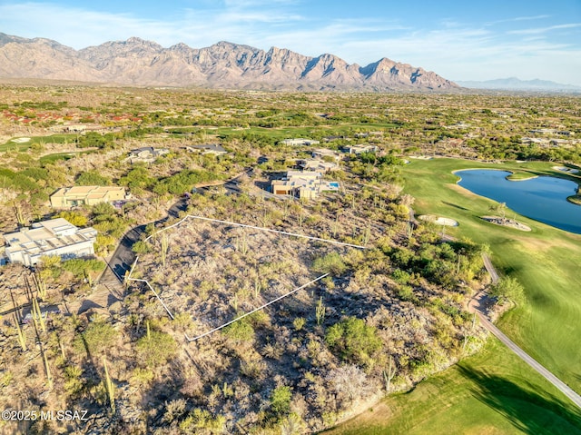 14471 N Giant Saguaro Pl Unit 33, Oro Valley, AZ 85755