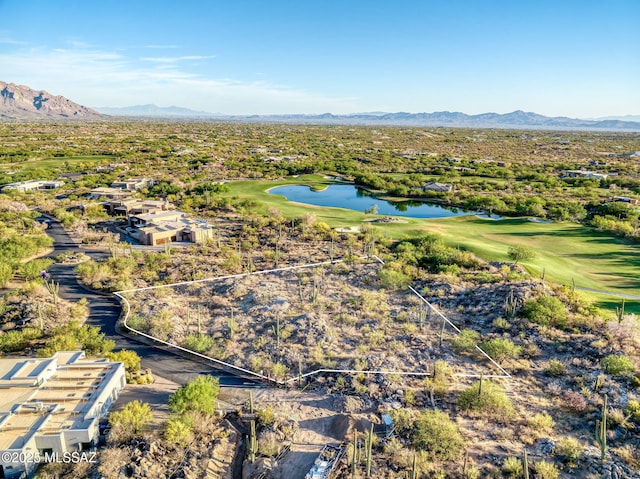 14471 N Giant Saguaro Pl Unit 33, Oro Valley, AZ 85755