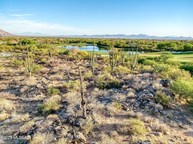14471 N Giant Saguaro Pl Unit 33, Oro Valley, AZ 85755