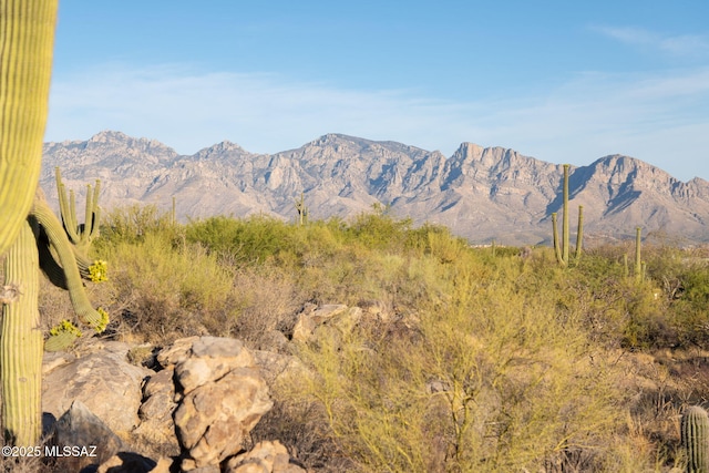 14471 N Giant Saguaro Pl Unit 33, Oro Valley, AZ 85755