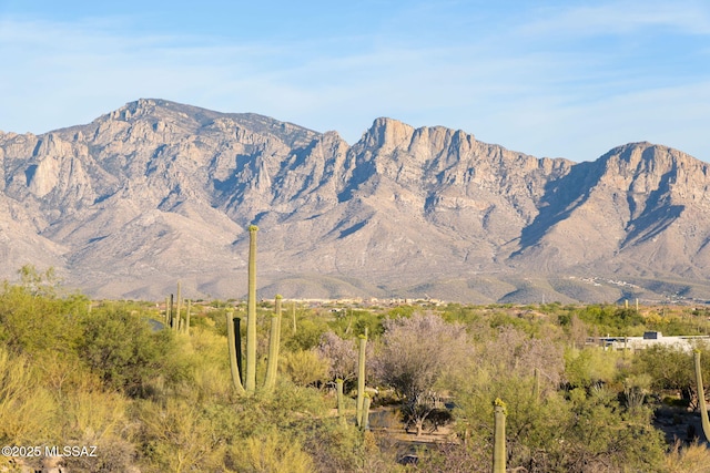 14471 N Giant Saguaro Pl Unit 33, Oro Valley, AZ 85755