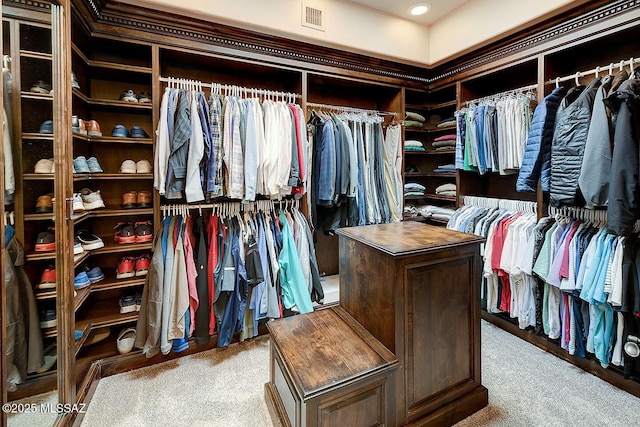 6015 N Camino Preciado, Tucson, AZ 85718 - spacious closet with carpet