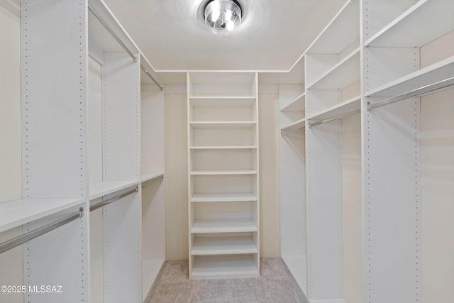 6891 N Camino Verde, Tucson, AZ 85743 - walk in closet featuring light carpet