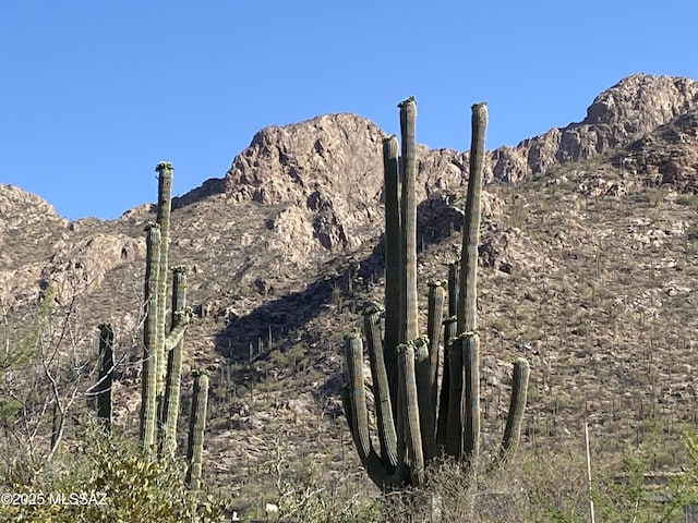 2134 E Desert Garden Dr Unit 288, Tucson, AZ 85718