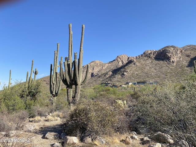 2134 E Desert Garden Dr Unit 288, Tucson, AZ 85718