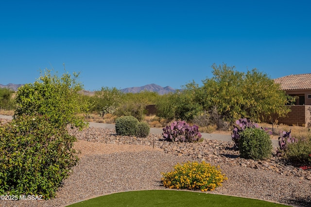 view of yard featuring a mountain view