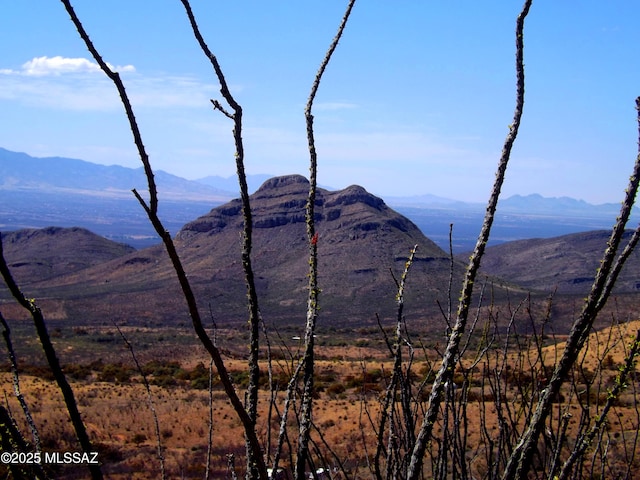 127 N Lupine Rd, Bisbee AZ, 85603 land for sale