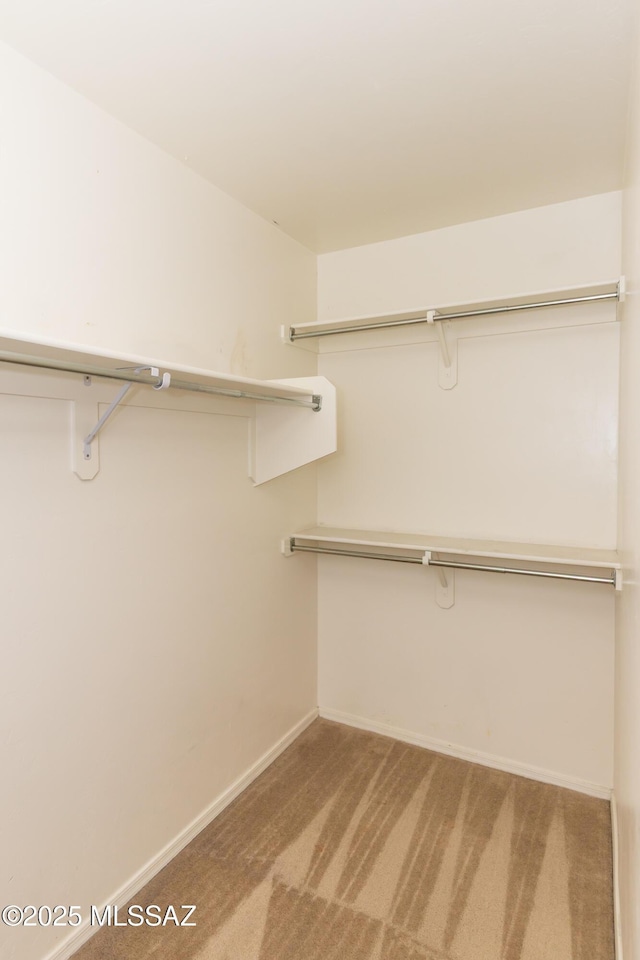 6591 S Avenida Santa Carolina, Tucson, AZ 85756 - spacious closet with carpet
