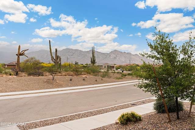 11479 N Desert Calico Loop, Tucson, AZ 85742 - view of mountain background