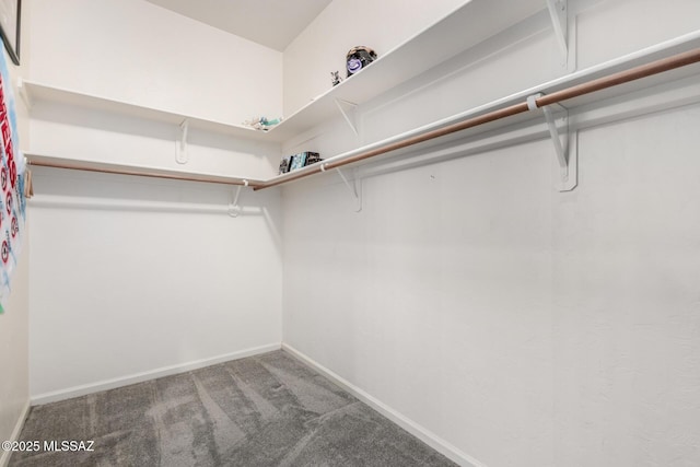 1497 W Carmel Pointe Dr, Oro Valley, AZ 85737 - spacious closet with carpet flooring
