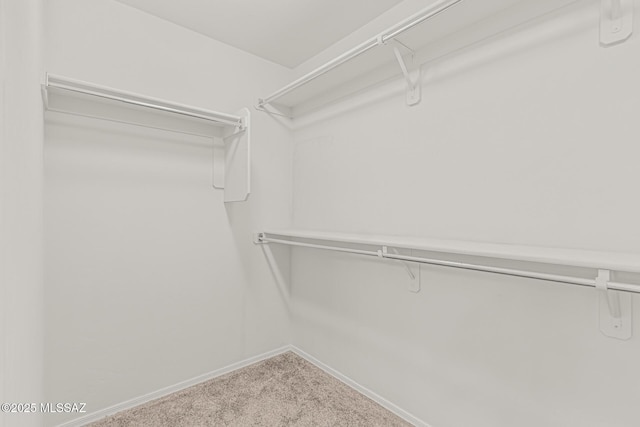 10560 E Forest Falls Ct, Tucson, AZ 85747 - walk in closet featuring carpet floors