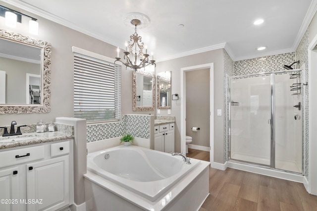 3443 W Tailfeather Dr, Marana, AZ 85658 - full bath featuring a stall shower, a chandelier, toilet, a garden tub, and vanity