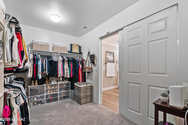 3443 W Tailfeather Dr, Marana, AZ 85658 - walk in closet with carpet floors
