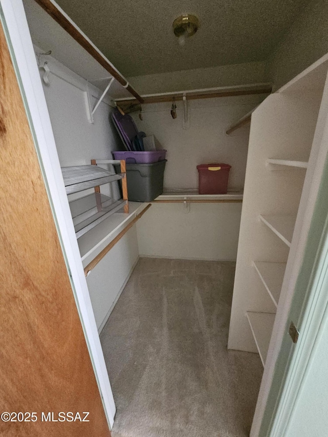1760 W Airport Rd, Willcox, AZ 85643 - walk in closet featuring carpet flooring